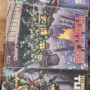 Teenage Mutant Ninja Turtles Comic Book Set